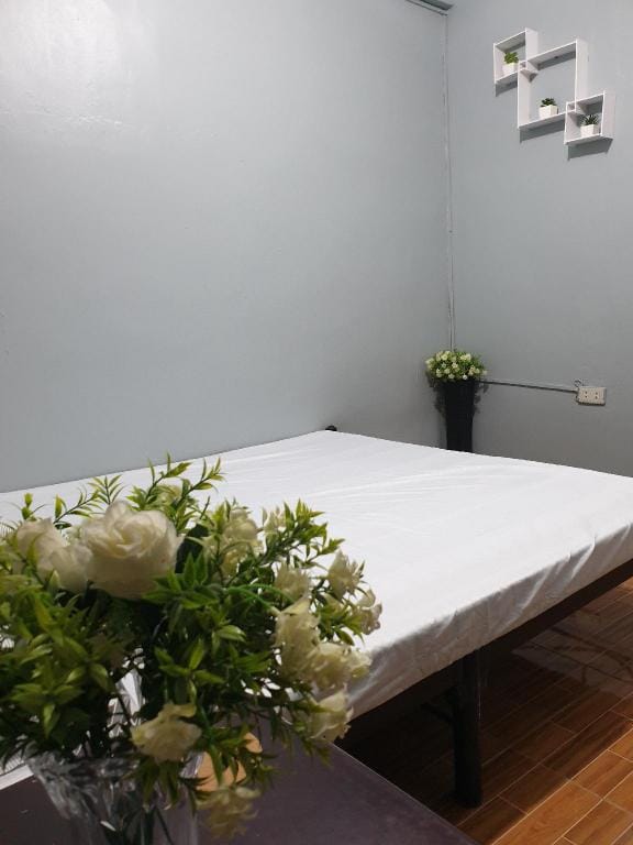 EDEN-1BRH-Budget Friendly House for Backpackers Travellers Apartment in Calabarzon