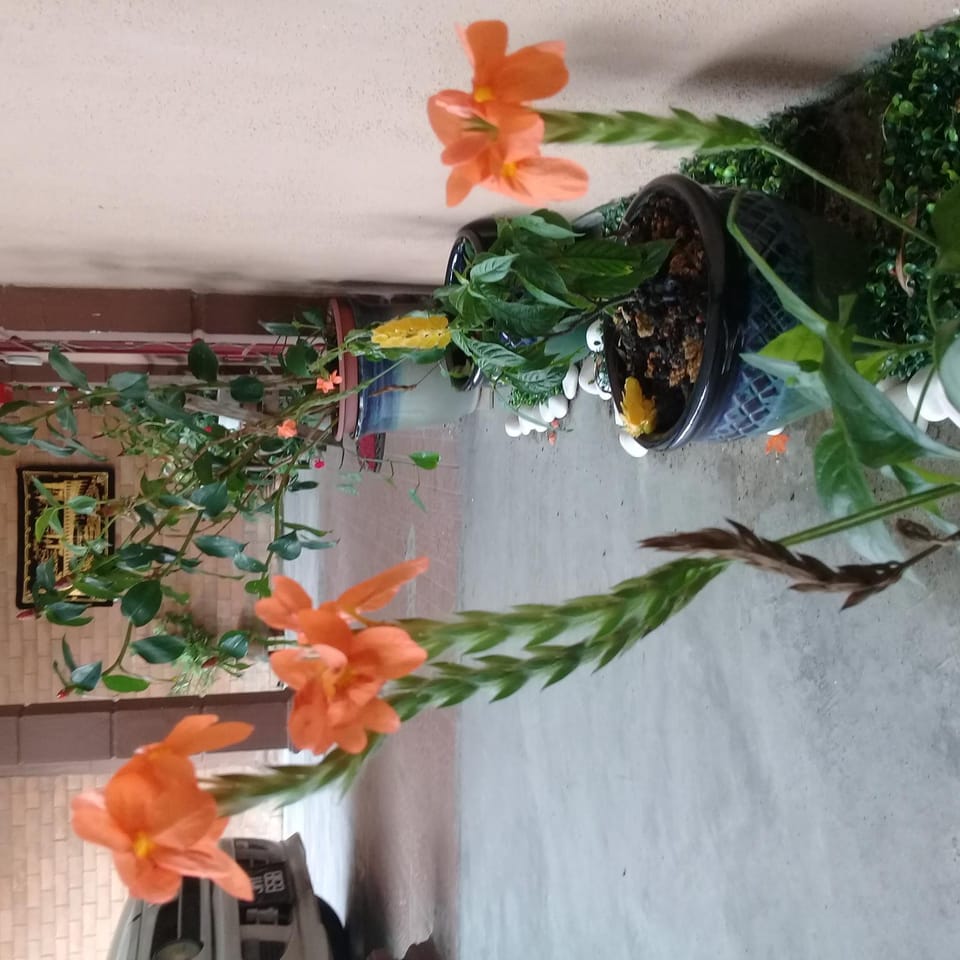 D'aman Homestay Parit Raja Darat Vacation rental in Johor