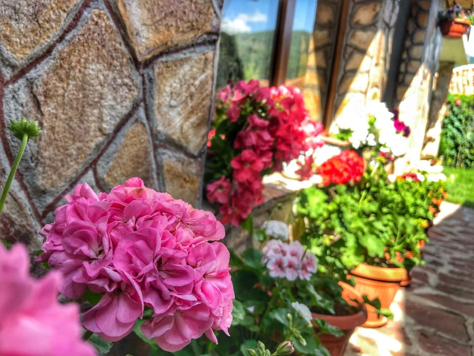Villa with garden, kitchen and amazing view Vacation rental in Bulgaria