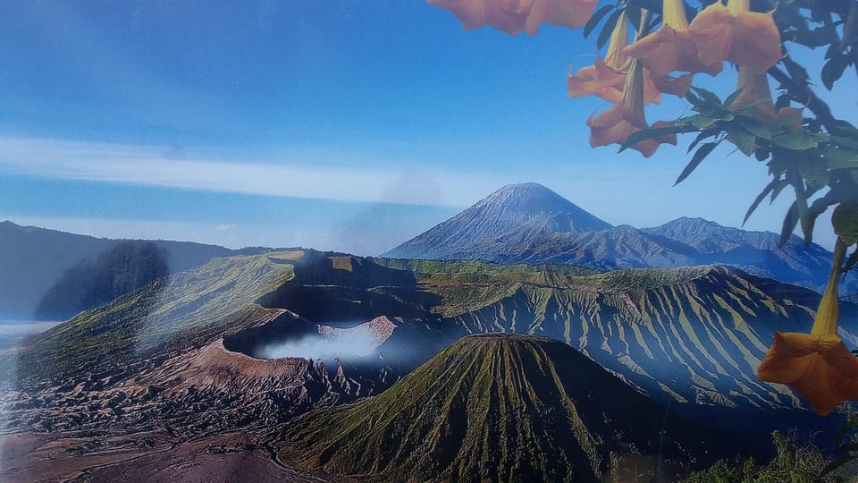 Homestay Firdaus Bromo Vacation rental in East Java