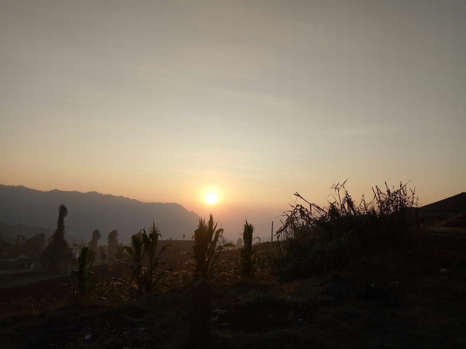 Great View Room @ Tengger Bromo - Free  Pick Up Vacation rental in East Java
