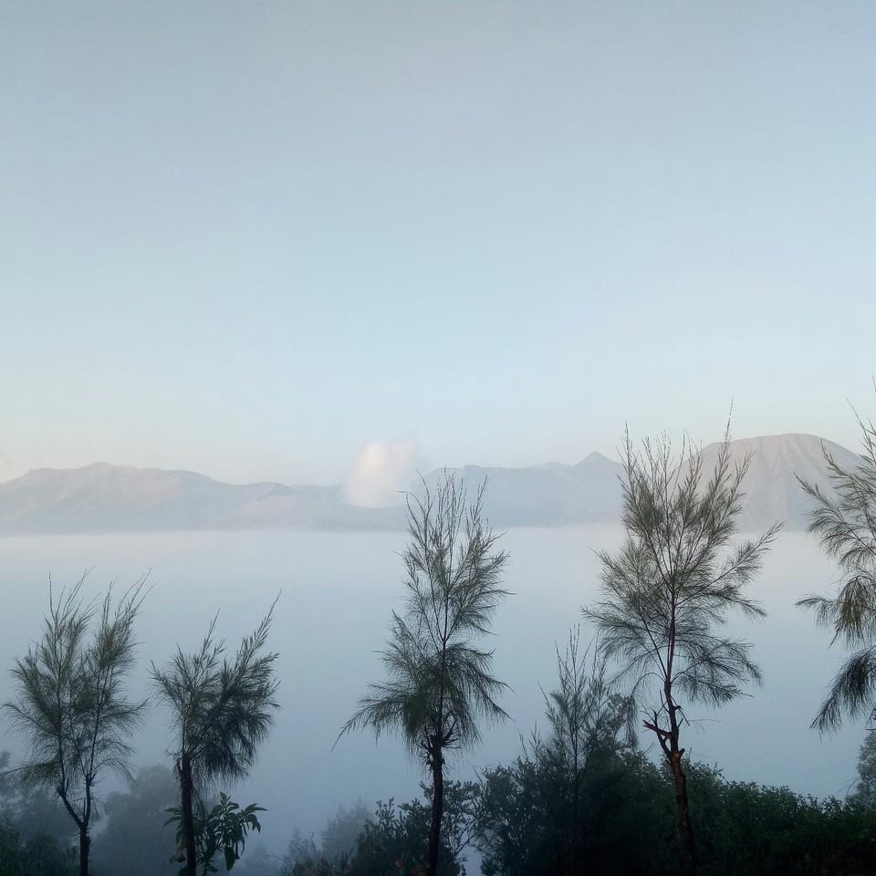 Great View Room @ Tengger Bromo - Free  Pick Up Vacation rental in East Java