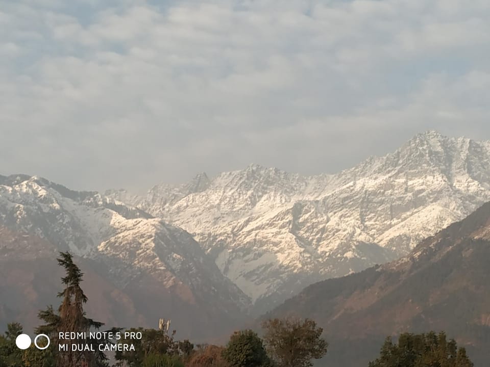 JASMISH COTTAGES Vacation rental in Punjab, India