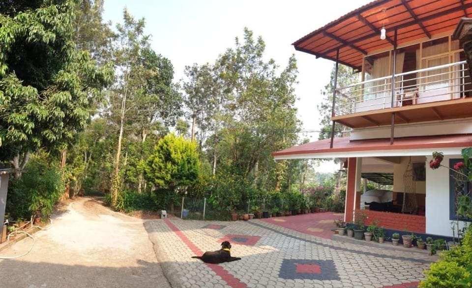 Lazy Days Wynad - Travel to lesser known locations Villa in Kerala