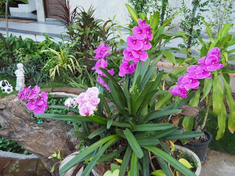 A Day Inn Lamphun Hotel in Thailand