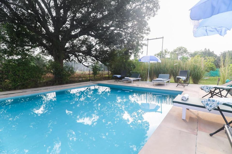 Jungle Book Ranthambore Luxury tent in Rajasthan