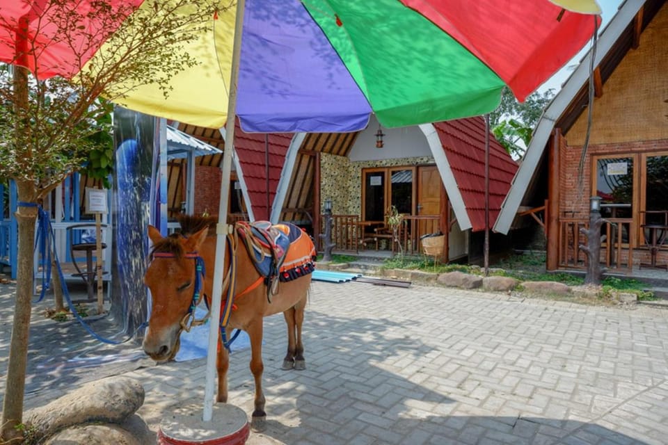 RedDoorz @ Kampoeng Etnik Kebumen 2 Campground/ 
RV Resort in Indonesia