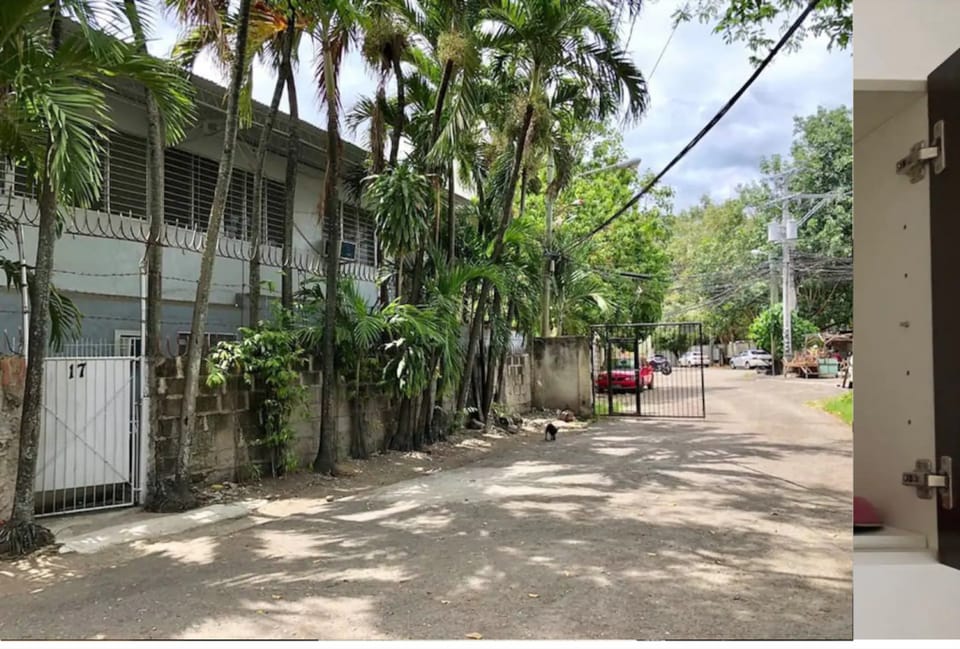 WIFI 500Mbps  2 Bedroom Jasmin1 Family Apartment  Apartment in Cebu City