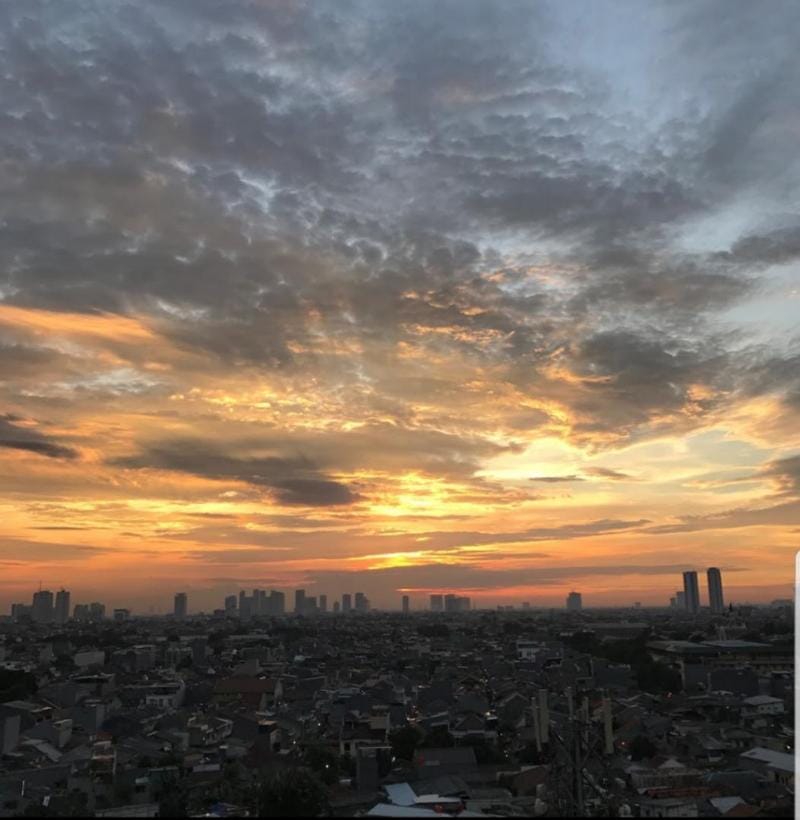 Apartemen Madison Park Near Central Park Mall  Apartment in Jakarta