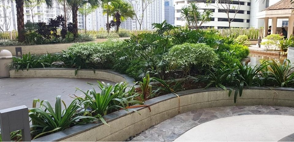 Madison Park Central Park Luxury&Private 1Bedroom Apartment in Jakarta