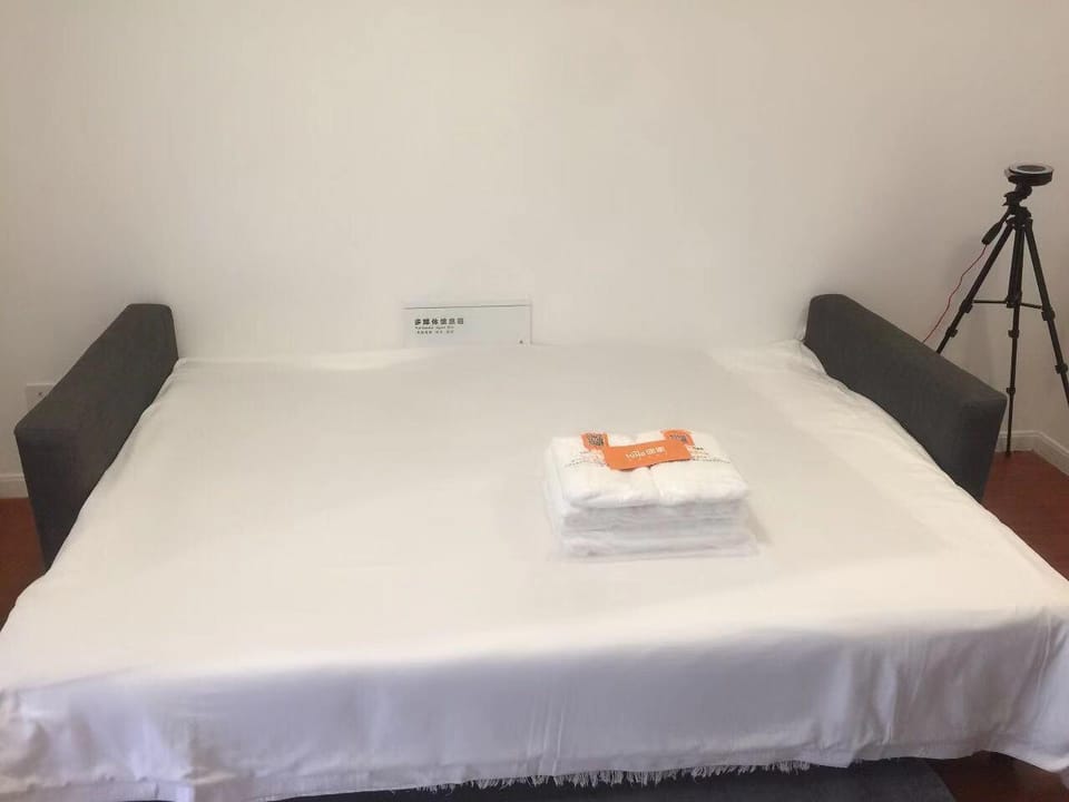 shi中心 常熟路地铁口2分钟 近新天地人民广场和外滩一室一厅高品质整套公寓 Apartment in Shanghai