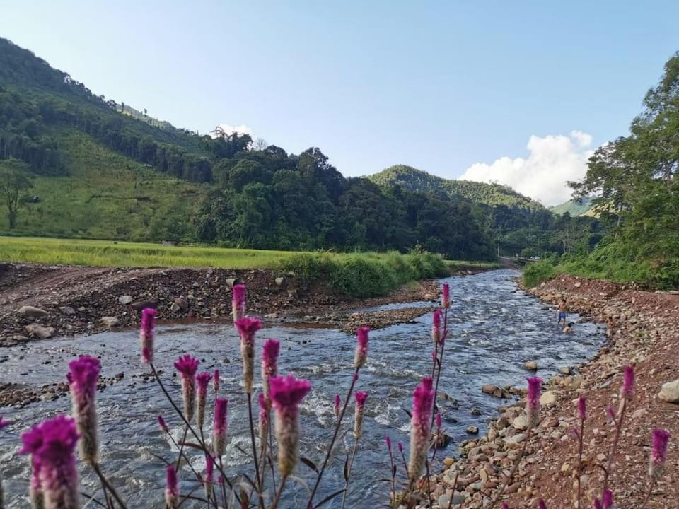 Ton Nam Nan, Bo Kluai (Sakura House) Vacation rental in Laos