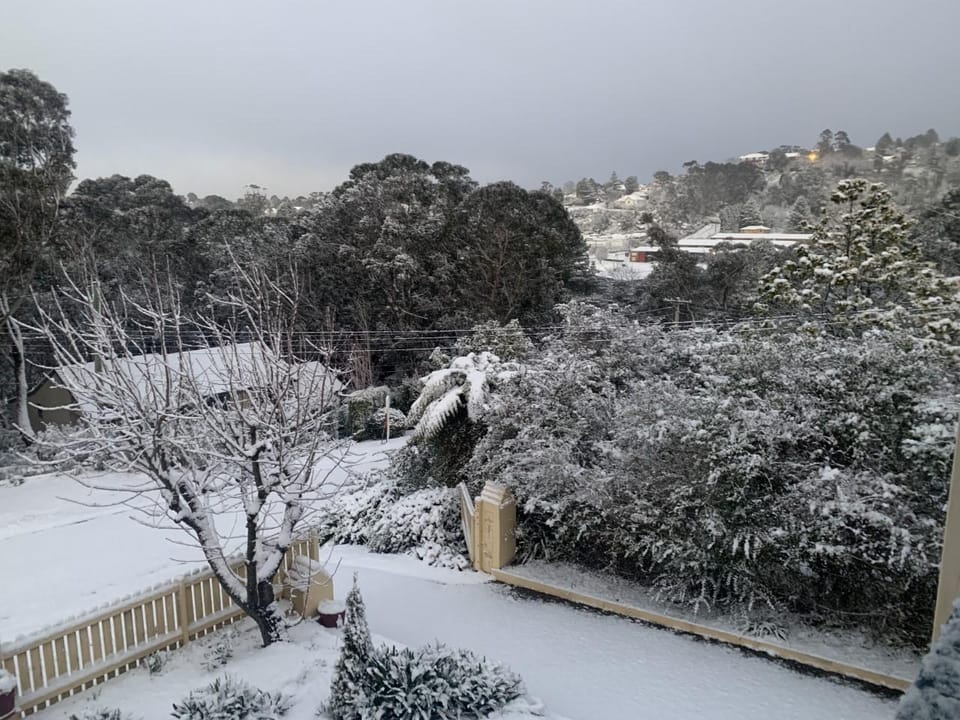 Sunflower Cottage in Blue Mountains Vacation rental in Katoomba