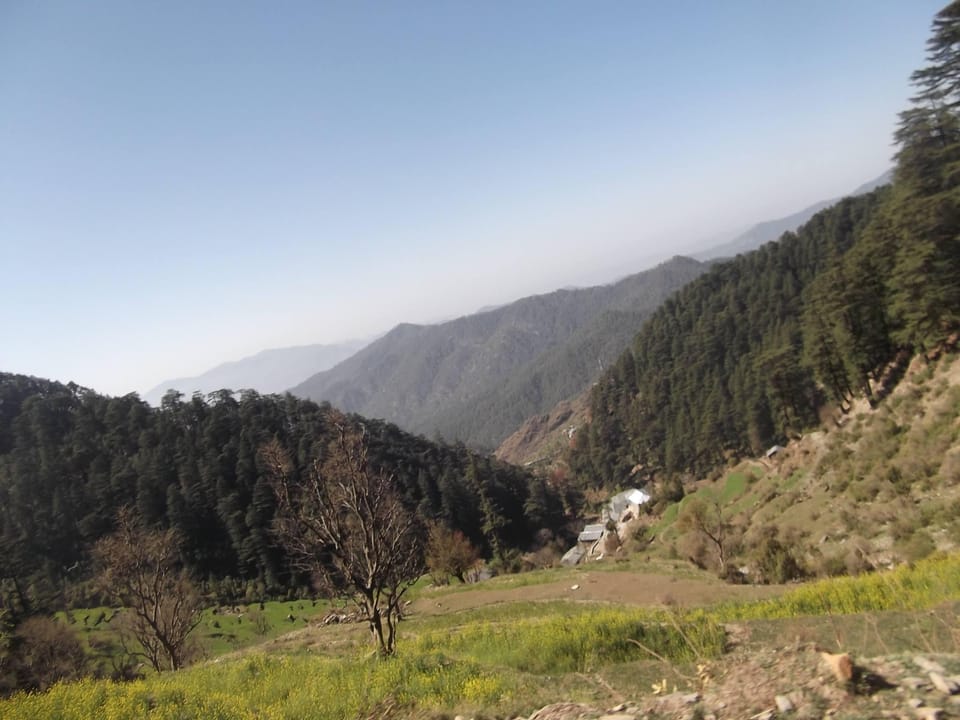 Ira's Hideaway Vacation rental in Punjab, India