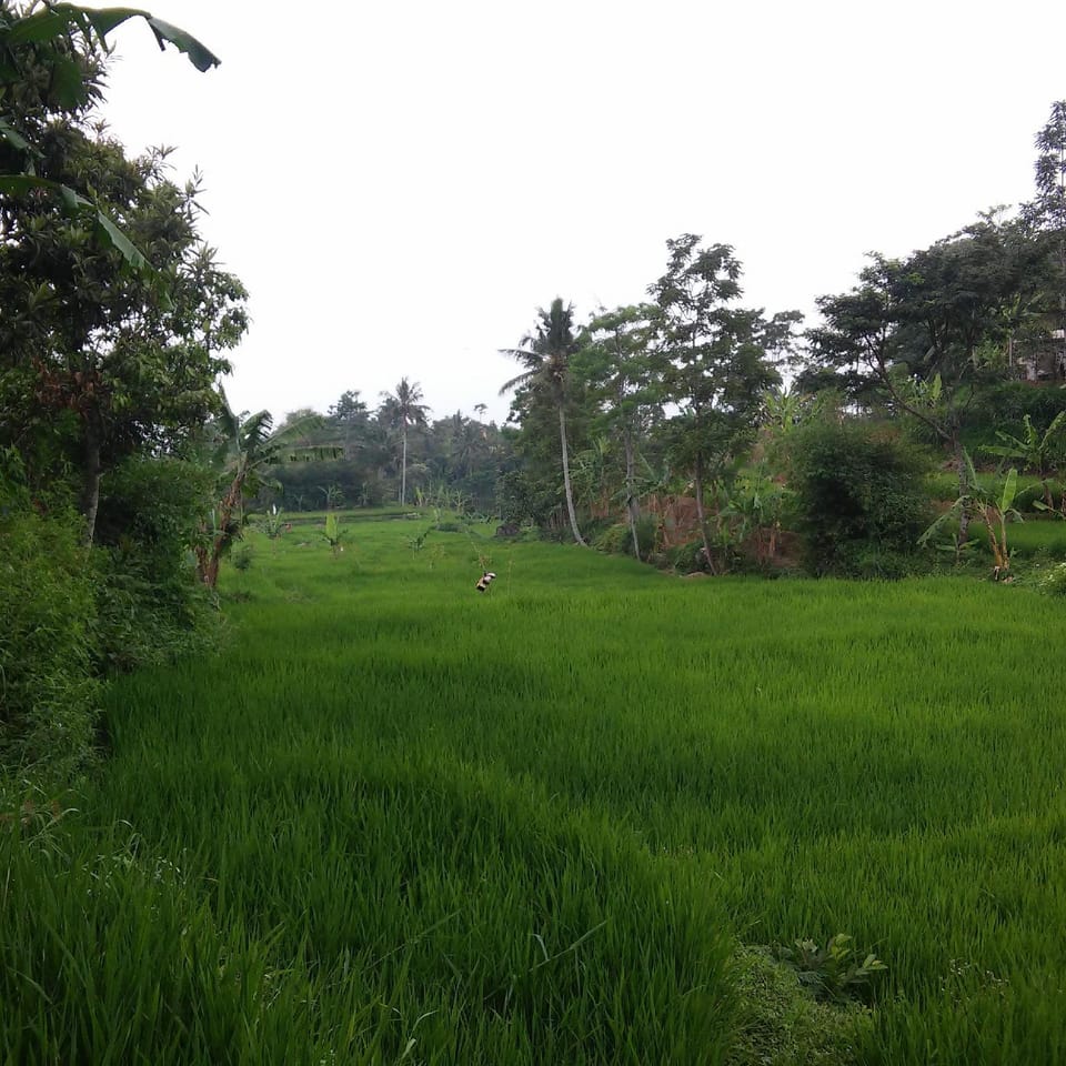 Wildan Guesthouse Vacation rental in West Java