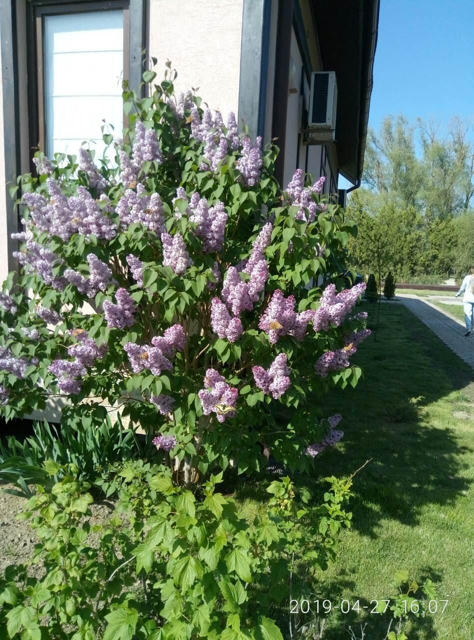 Guest House on Lesnaya Vacation rental in Odessa Oblast