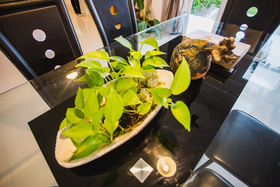 Green Corner Pool Villa with Free Driver&Van Villa in Thailand