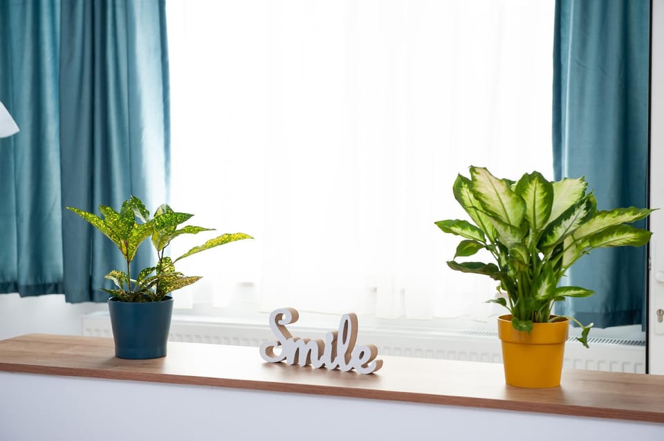 Dawn - Premium central apartment Apartment in Brasov