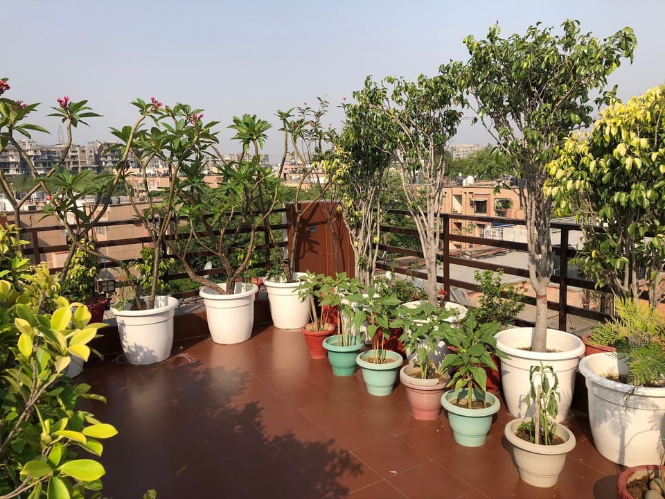Cozy Home away from Home with Terrace Garden  Apartment in New Delhi