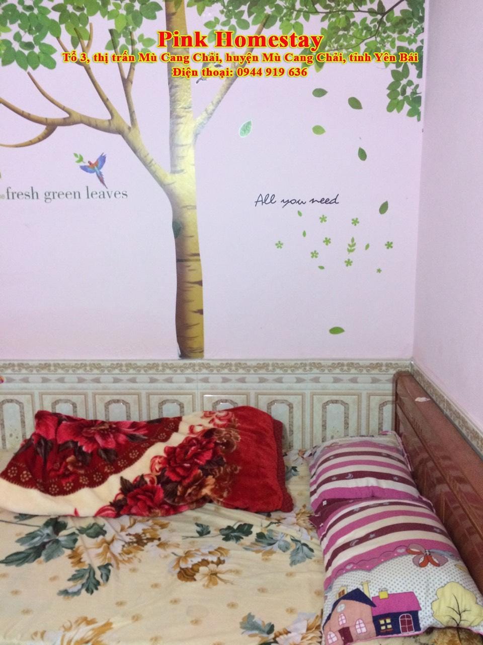 Pink Homestay Vacation rental in Laos