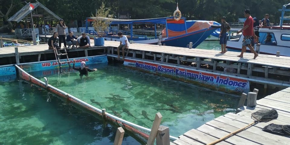 Menjangan Resort   Vacation rental in Indonesia