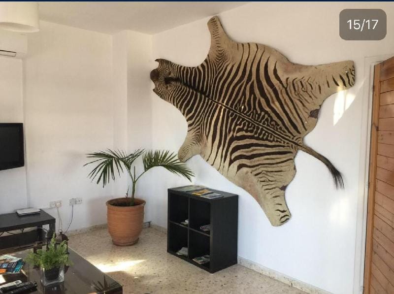 Vangelios Apartments  Apartment in Paphos District