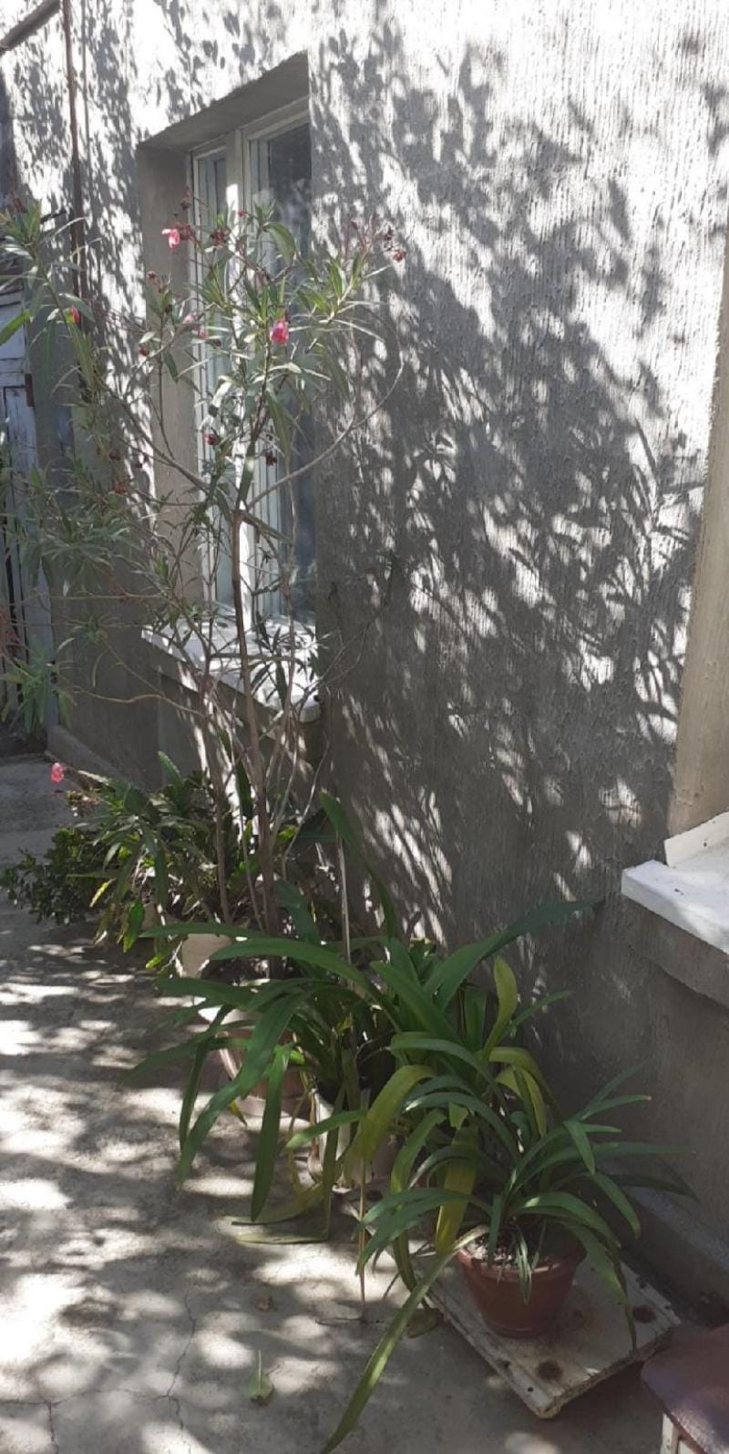 Guest House Otilia Vacation rental in Armenia