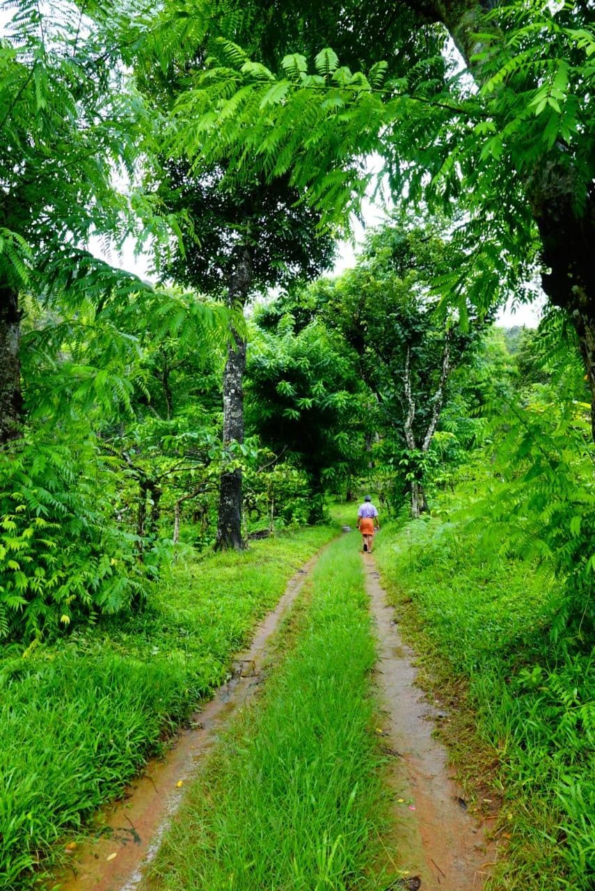 Its Good For   Groups  Vacation rental in Kerala