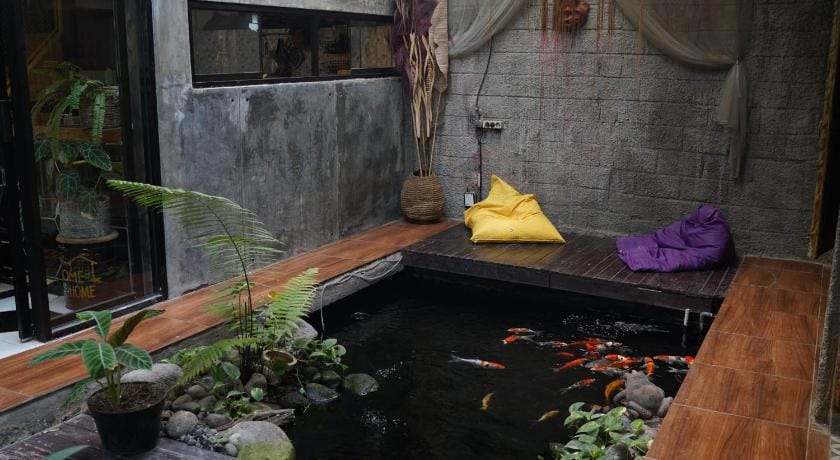 Happy House BnB Bromo backpacker Bed and Breakfast in East Java
