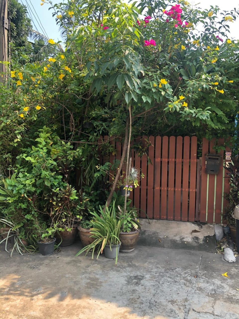 Nillaya Cozy Home Vacation rental in Thailand