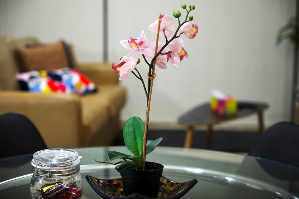 C23 Budget premium gateway @ Chippendale Apartment in Sydney