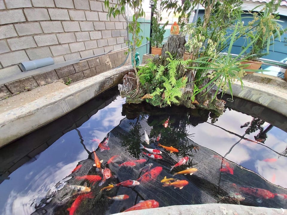 Love Valley / Dream Hill Villas Villa in Dalat