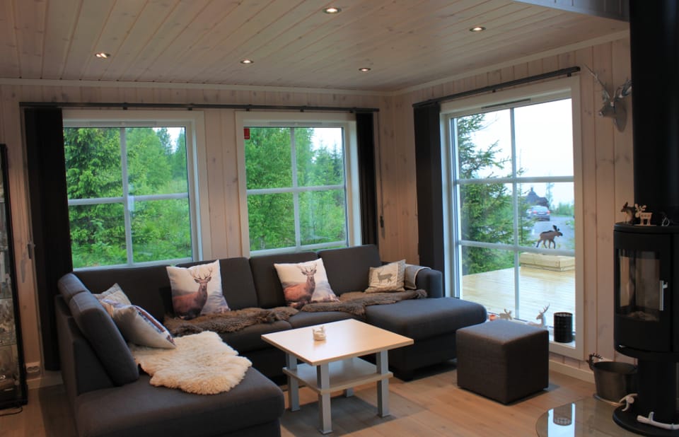 Luxury Mountain Villa Vacation rental in Viken, Norway