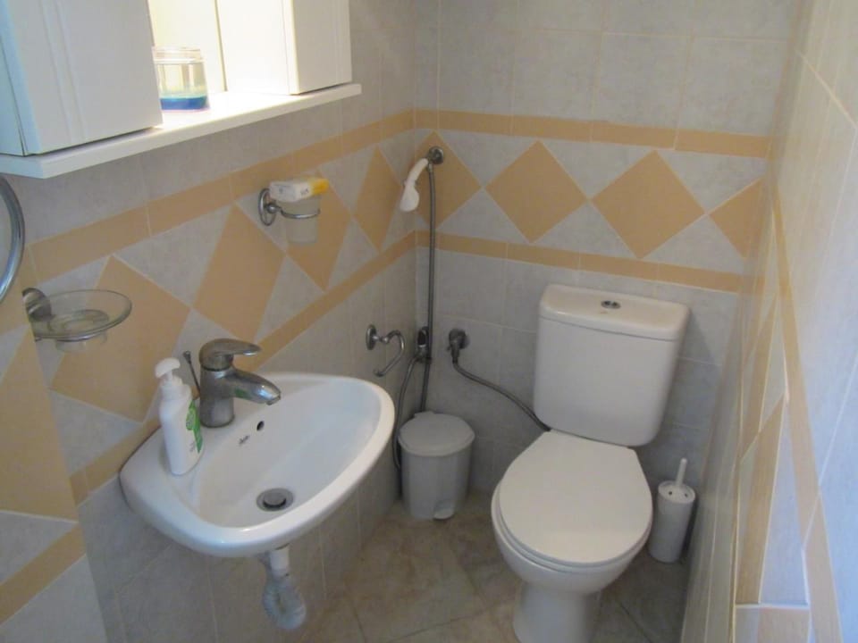 Harmony Apartments @ Fournoi Island Upper Floor  Apartment in Icaria