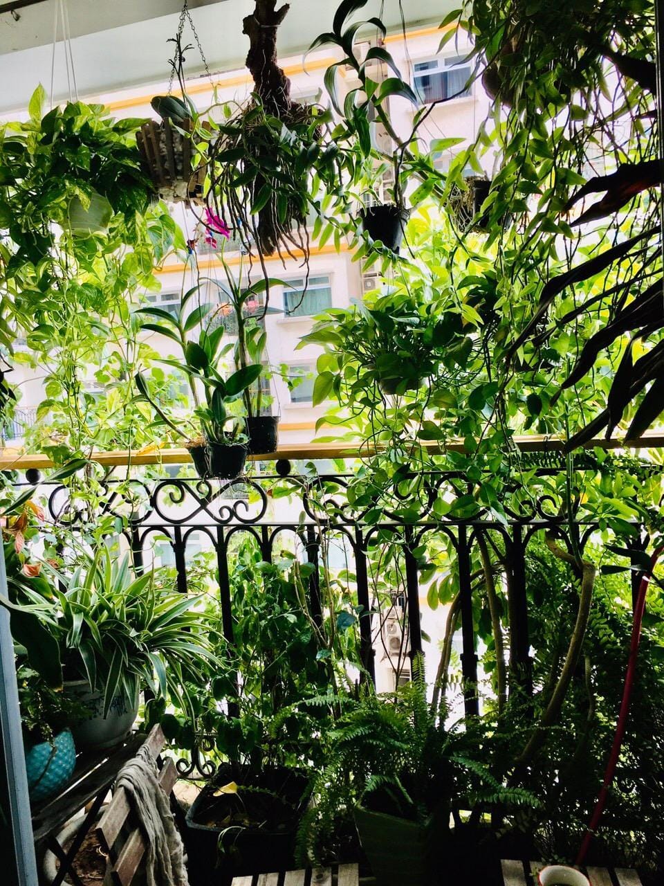 Green and sunny apartment in Hanoi center Apartment in Hanoi