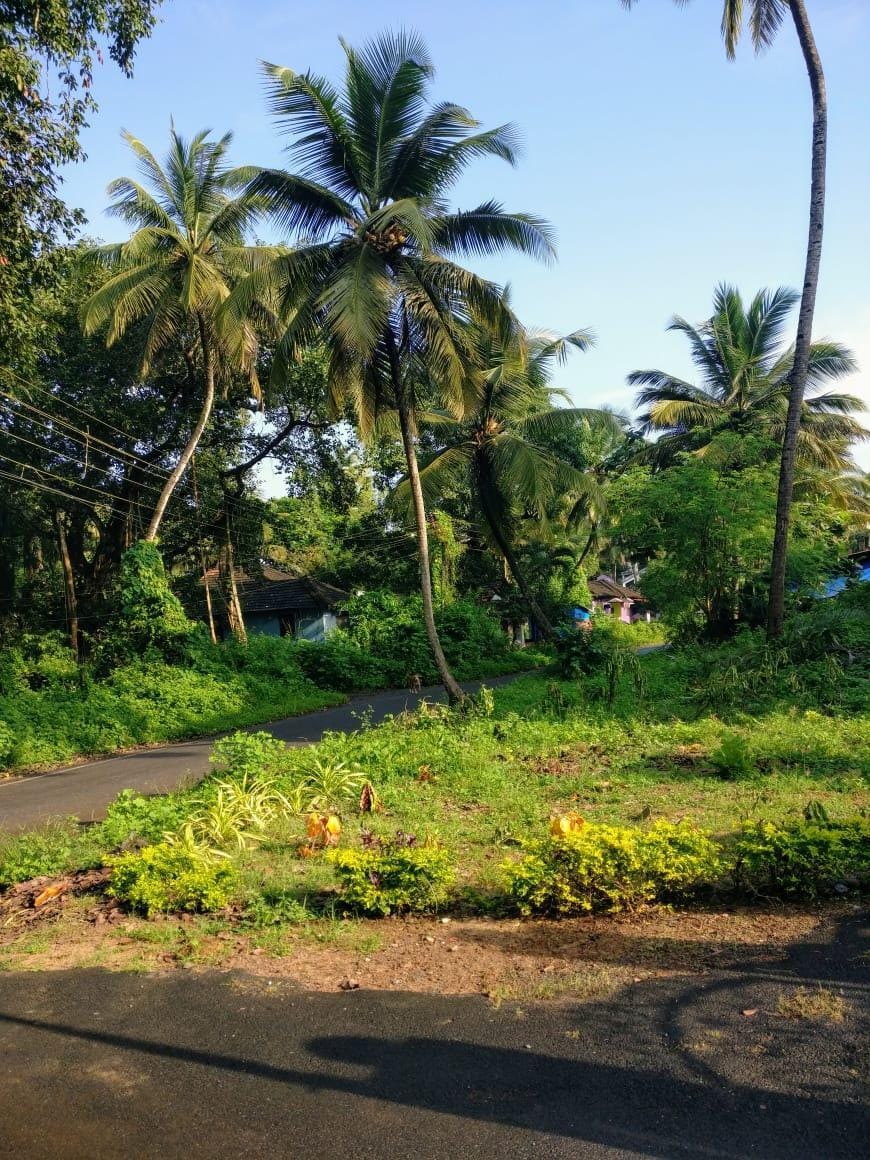 VARCA FAMILY FRIENDLY 4BED FLAT-1 NEAR ZALOR BEACH Apartment in Goa, India