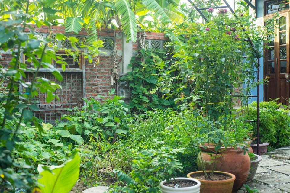Casa Rio - Riverside holiday house in Hoi An Vacation rental in Hoi An