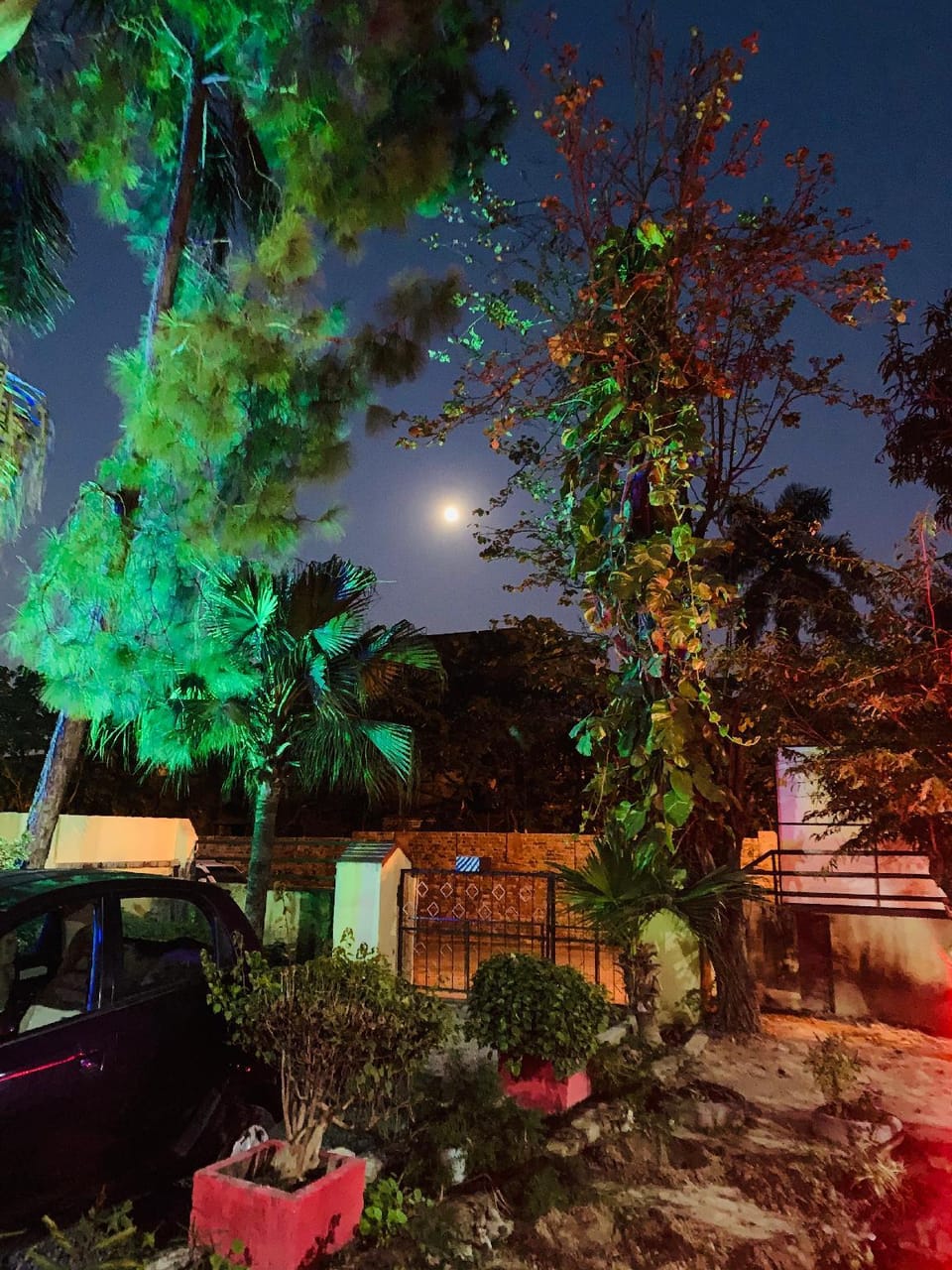 UDS CAFE AND HOMESTAY  Apartment in Dehradun
