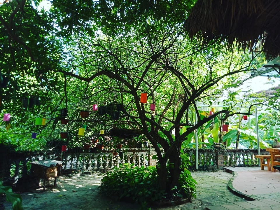 MuongRetreat1 Hoa Binh, ArtBr view  garden  onhill Vacation rental in Laos