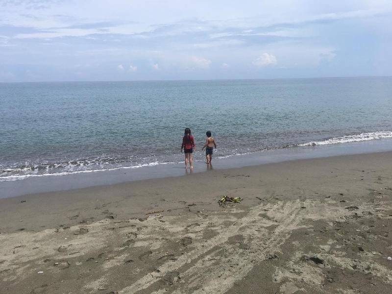 RVS BIRDLAND Staycation 2 Apartment in Cordillera Administrative Region