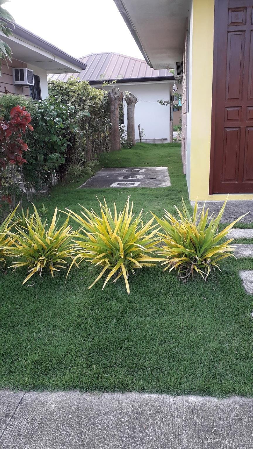 its near the beaches of lapu lapu  Vacation rental in Lapu-Lapu City