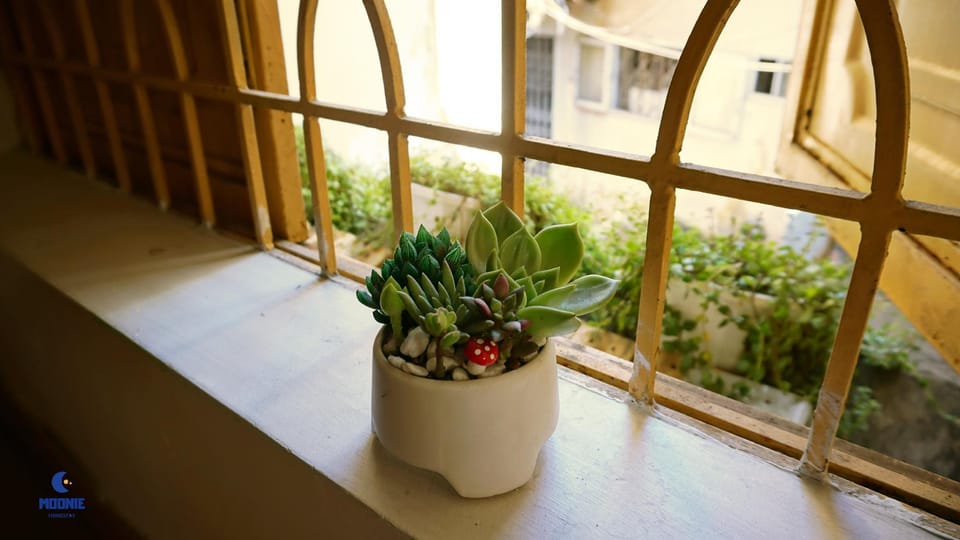 MOONIE HOMESTAY - The hidden gem in center city Vacation rental in Laos
