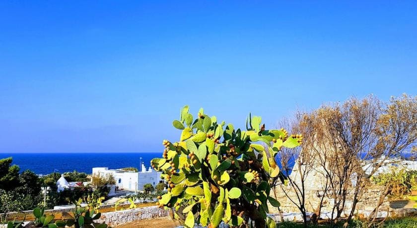 Appartamento sul mare Livia nel cuore della Puglia Apartment in Polignano a Mare