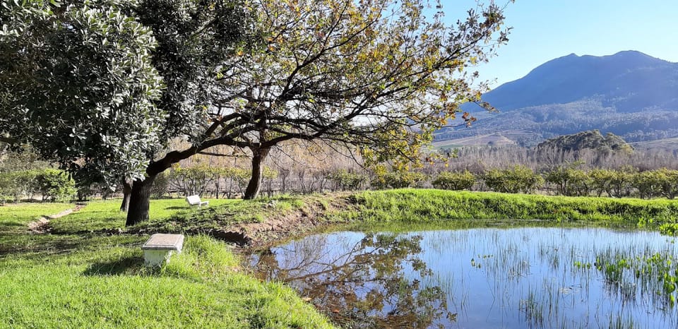 Canetsfontein Guest Cottage Vacation rental in Western Cape
