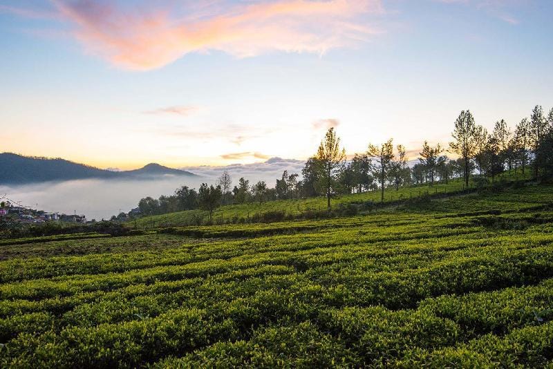 Villa Hugel by VEO - Part of StayVista Villa in Ooty