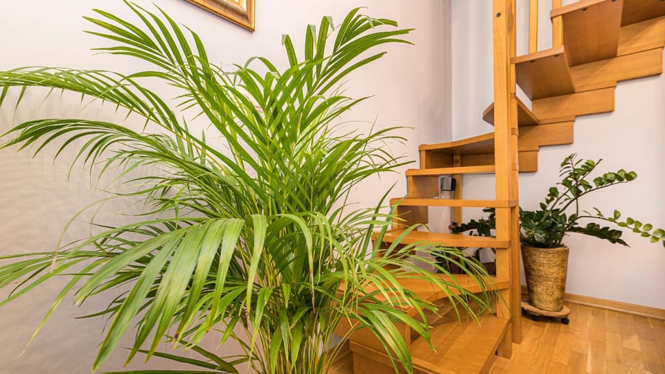 Maya's Flats & Resorts- Gdansk Old Town Maisonette Apartment in Gdansk