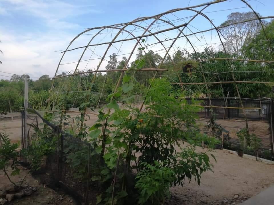 Samatha Farm Stay Vacation rental in Prachuap Khiri Khan, Thailand
