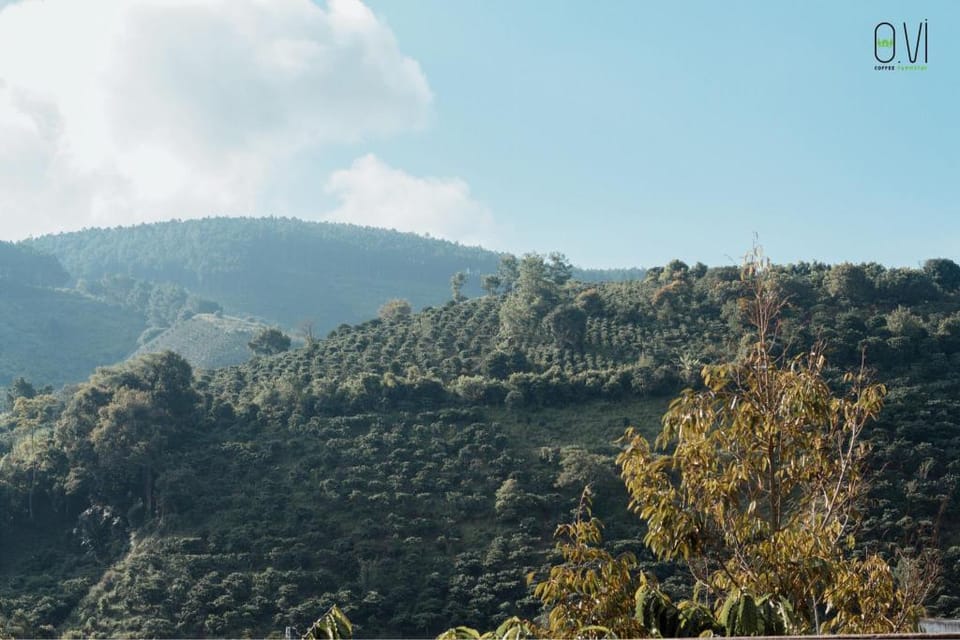 OVi farmstay Đà Lạt  Vacation rental in Dalat
