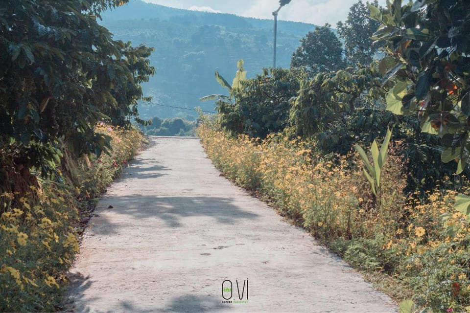OVi farmstay Đà Lạt  Vacation rental in Dalat
