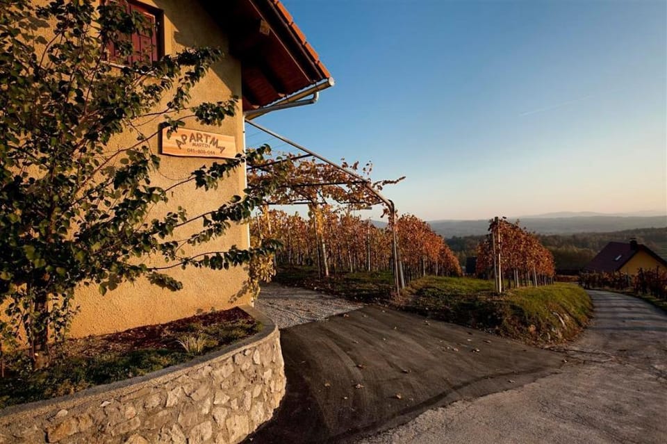 Vineyard cottage Brodaric Vacation rental in Slovenia